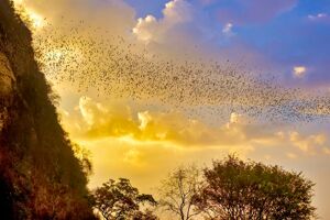 Battambang Safety Travel Guide: Tips, Precautions & Eco-Tours